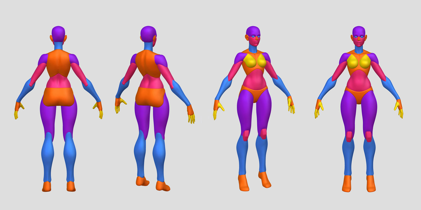 Stylized Anatomy Base Meshes