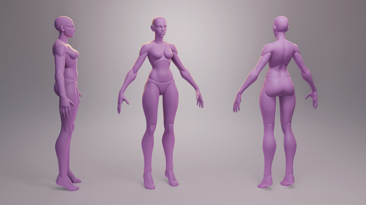 Stylized Anatomy Base Meshes