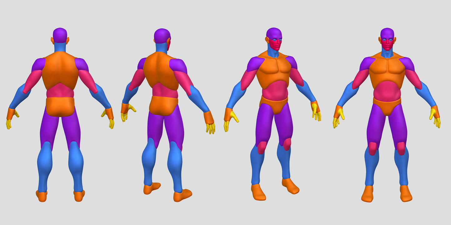 Stylized Anatomy Base Meshes