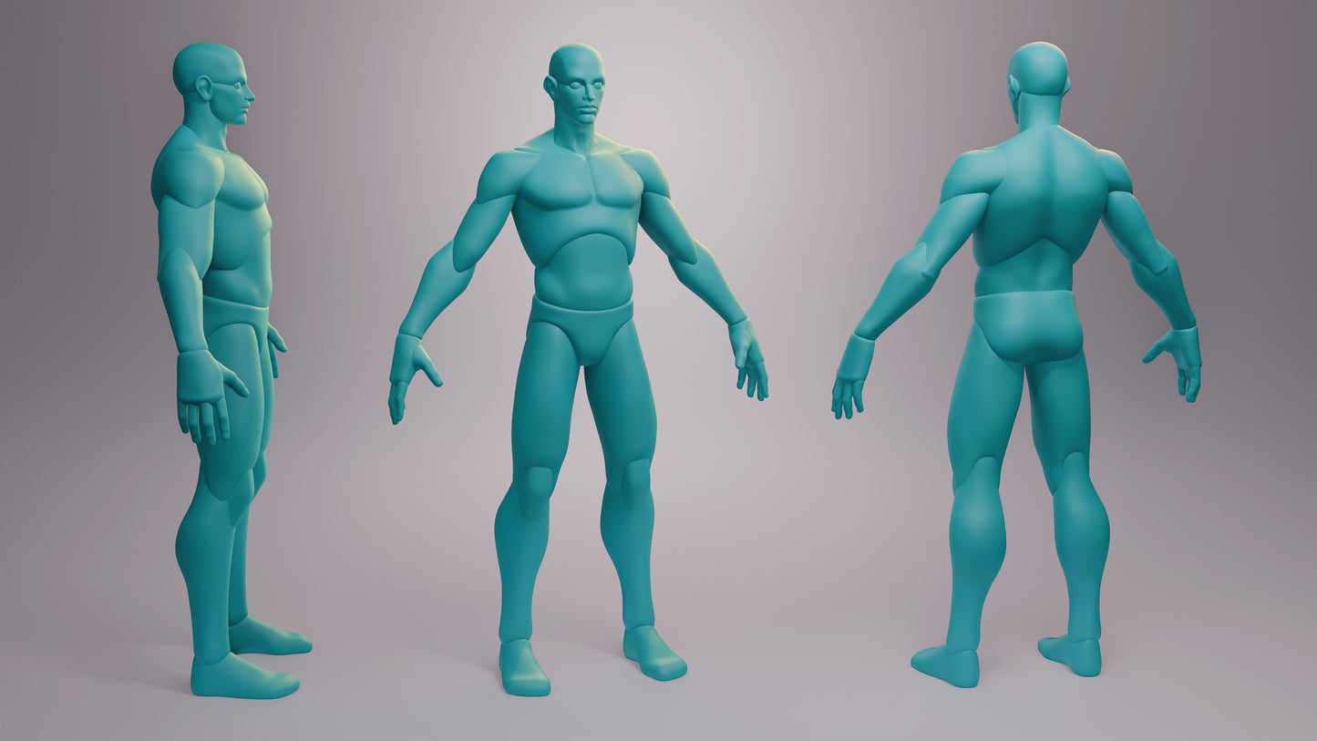Stylized Anatomy Base Meshes