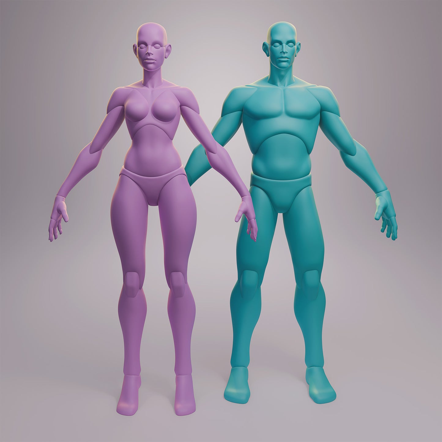 Stylized Anatomy Base Meshes